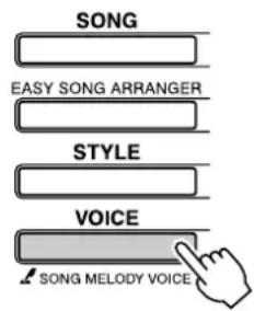 YAMAHA PSR-E403 - NOTE - 1