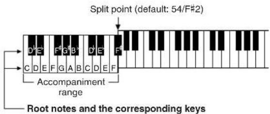 YAMAHA PSR-E403 - Playing Auto-accompaniment Chords - 1