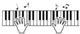 YAMAHA PSR-E403 - ■Performance assistant technology Page 23 - 1