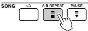 YAMAHA PSR-E403 - A-B Repeat - 2