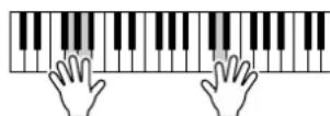 YAMAHA PSR-E403 - Use the Performance Assistant to Play Like a Pro! - 3