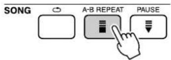 YAMAHA PSR-E403 - A-B Repeat - 3