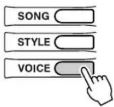 SONG STYLE VOICE