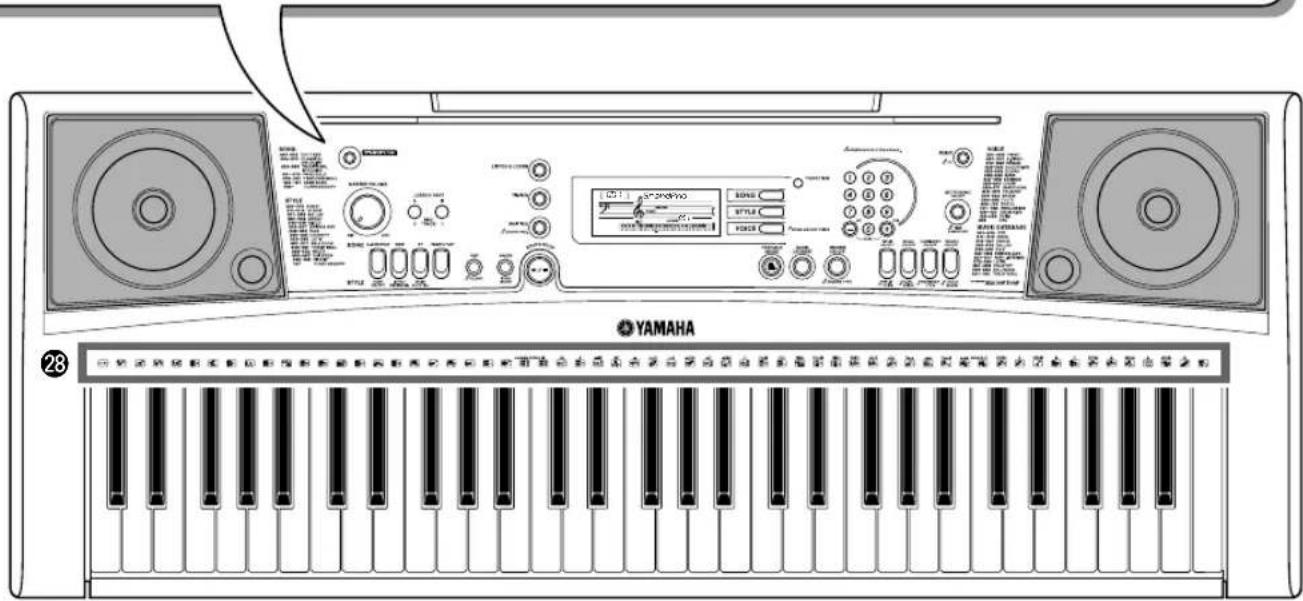YAMAHA 23