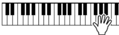 YAMAHA PSR-E313 - - Cómo hacer que suene cada tipo de armonía - 3