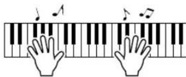 YAMAHA PSR-E313 - Pruebe cada tecla. - 1