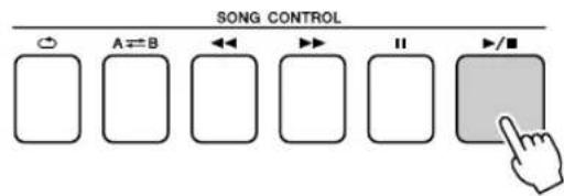 YAMAHA PSR-E413 - Press the [+/(START/STOP) button. - 1