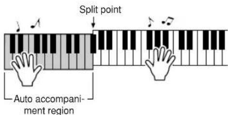 YAMAHA PSR-E413 - Play a variety of left-hand chords while playing a melody with your right hand. - 1