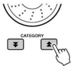 YAMAHA PSR-E413 - Use the CATEGORY [1] and [ ] buttons to select the Chorus Type item. - 1
