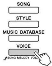 YAMAHA PSR-E413 - NOTE - 1