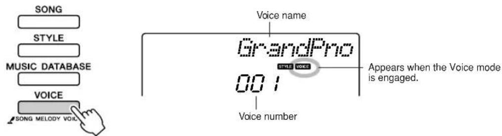 YAMAHA PSR-E413 - Press the [VOICE] button. - 1