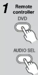 ONKYO TX-SR501E - Using the Multi-Channel Inputs - 1