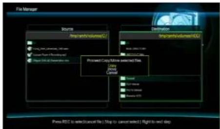 AC Ryan Playon!DVR HD - FILE MANAGER - 10