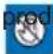 SAMSUNG HMX-H205RP - ATTENTION - 2