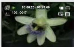 SAMSUNG HMX-H220SP - Example of Time Lapse Recording - 3