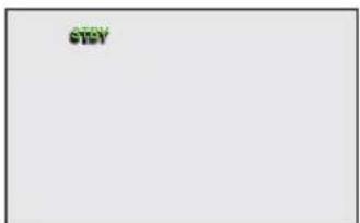 SAMSUNG HMX-H220SP - Switching the information display mode - 3