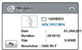 SAMSUNG HMX-H300SP - File Info (Info fichier) - 2