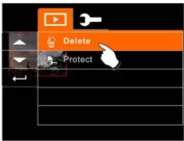 Delete Protect