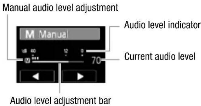 CANON Vixia HF R20 - Audio Recording Level - 6