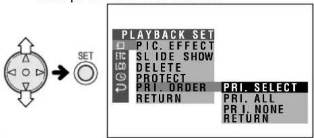 SHARP VL-NZ100U - Assigning Print Order to an Image - 1