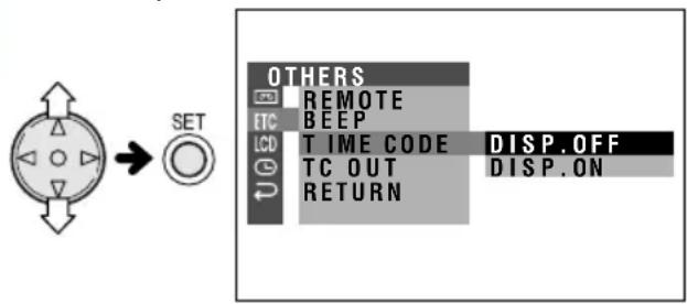 SHARP VL-NZ100U - Display format - 2