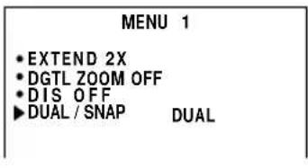 SHARP VL-AH150U - Selecting Digital Dual Picture - 2