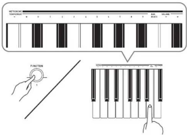 METROCHINI TEMPORIAL RAB RACK VOLUME FUNCTION