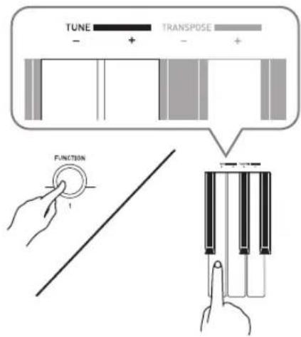 TUNE - + - + TRANPOSE FUNCTION