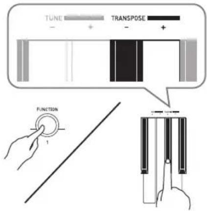 TUNE - + TRANSPOSE - + FUNCTION