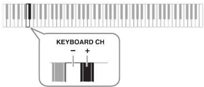 KEYBOARD CH - +
