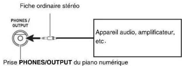 Fiche ordinaire stéréo PHONES / OUTPUT Appareil audio, amplificateur, etc. Prise PHONES/OUTPUT du piano numérique