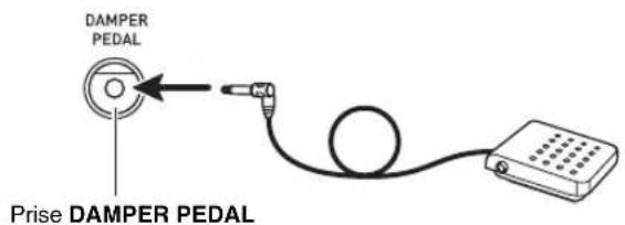 DAMPER PEDAL Prise DAMPER PEDAL