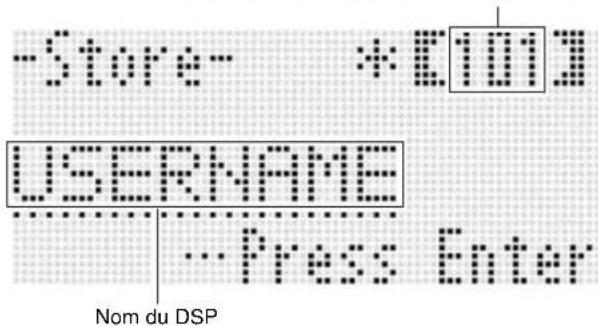 -Store- *E101 USERNAME Press Enter Nom du DSP
