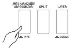 AUTO HARMONIZE/ ARPEGGIATOR TYPE SPLIT LAYER OCTAVE