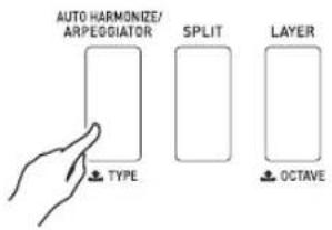 AUTO HARMONIZE/ ARPEGGIATOR TYPE SPLIT LAYER OCTAVE