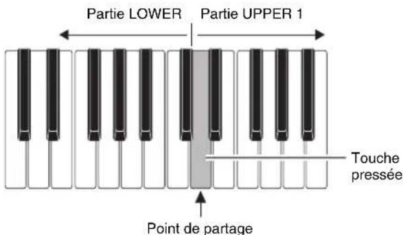 Partie LOWER Partie UPPER 1 Touche pressée Point de partage
