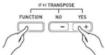 (F+) TRANSPOSE FUNCTION NO YES - +