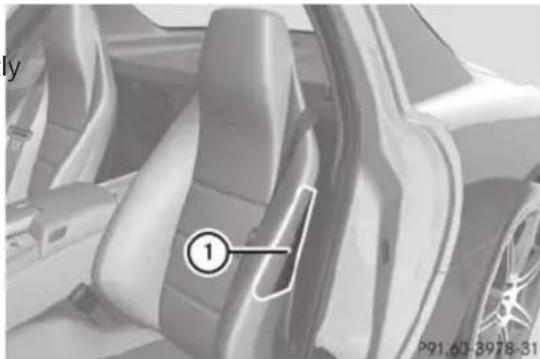 Mercedes-Benz SLS AMG Roadster (2014) - WARNING - 1