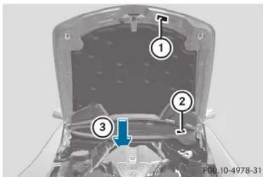 Mercedes-Benz SLS AMG Coupe (2012) - Plaques d'identification - 5