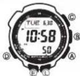 CASIO Pro Trek PRG-240-1ER - Warning! - 1