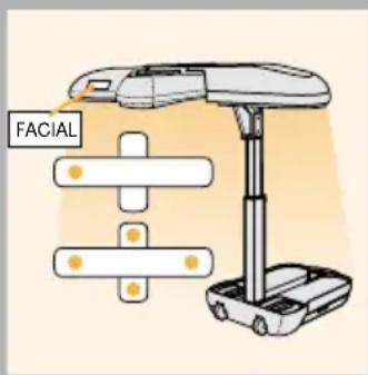 FACIAL