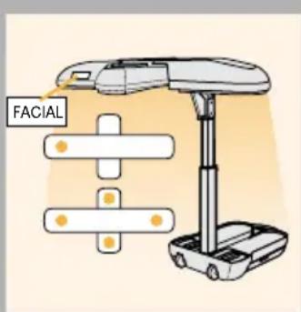 FACIAL