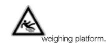 ADE Liv BA 1116 - Safety guidelines: - 2