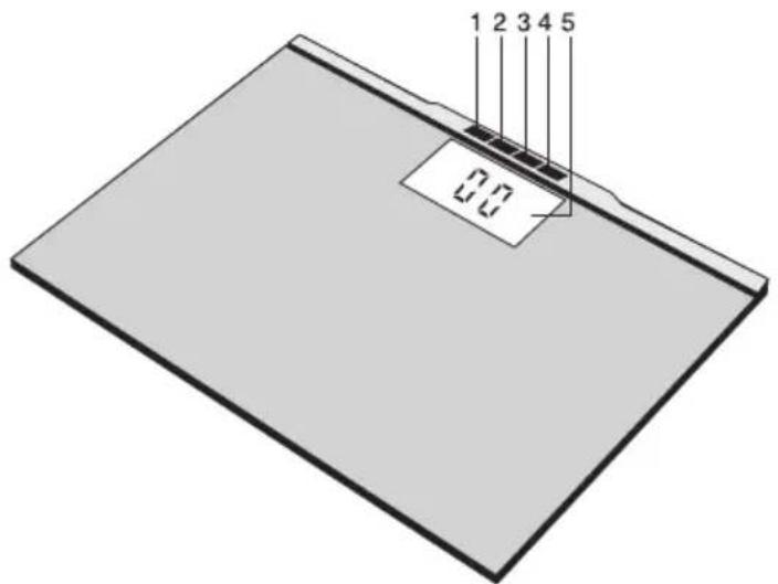 1 2 3 4 5 0.0