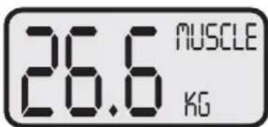 KORONA KFW 1303 - Funzionamento8 - 7