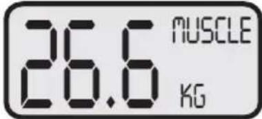 KORONA KFW 1303 - Wykonywanie pomiarów - 7