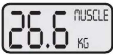 KORONA KFW 1303 - Setting user data - 13