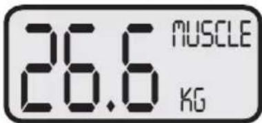 KORONA KFW 1303 - Réglage des données de l'utilisateur - 16