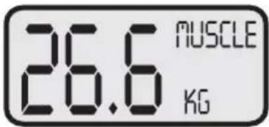 KORONA KFW 1303 - Χειρισμός8 - 7