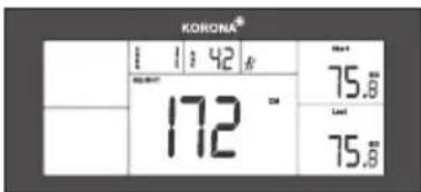 KORONA® 1 1:42 R 75.60 172 ° Level 75.60